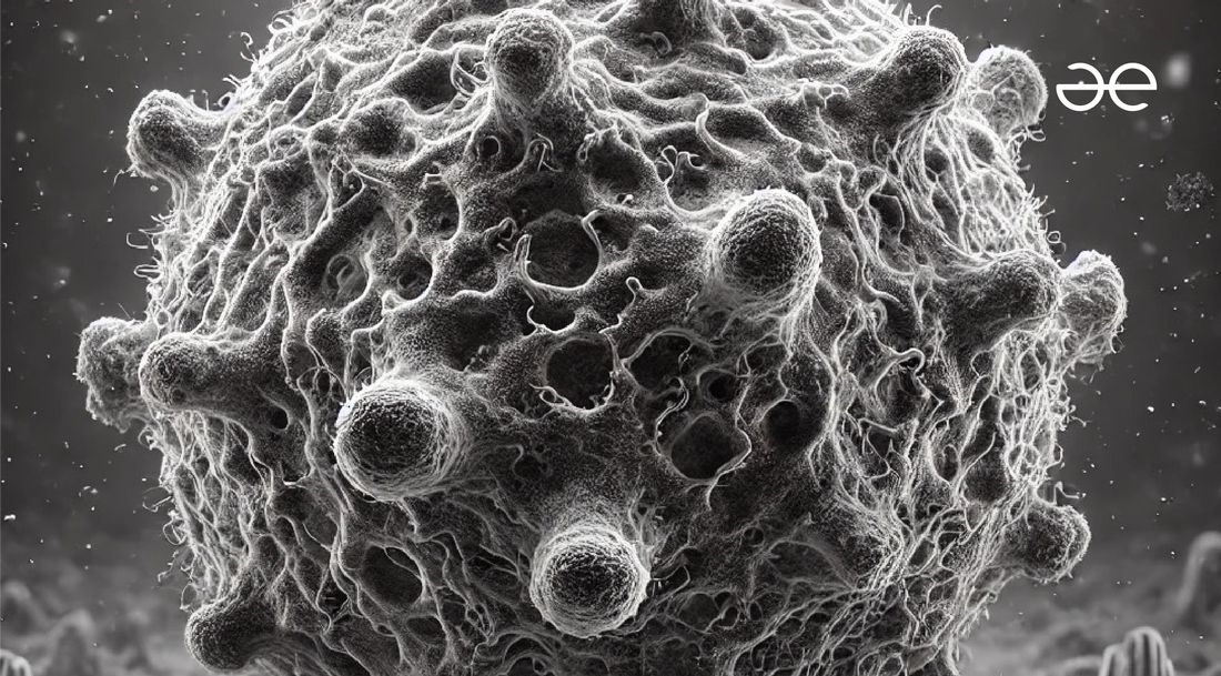 Immune System 101 – How Your Body Fights for You