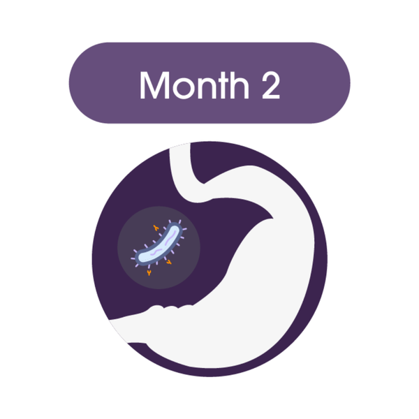 Month 2 Inflammation Balance